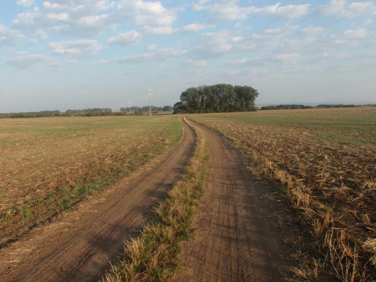 Penzion U Malera Hroznova Lhota Exterior photo